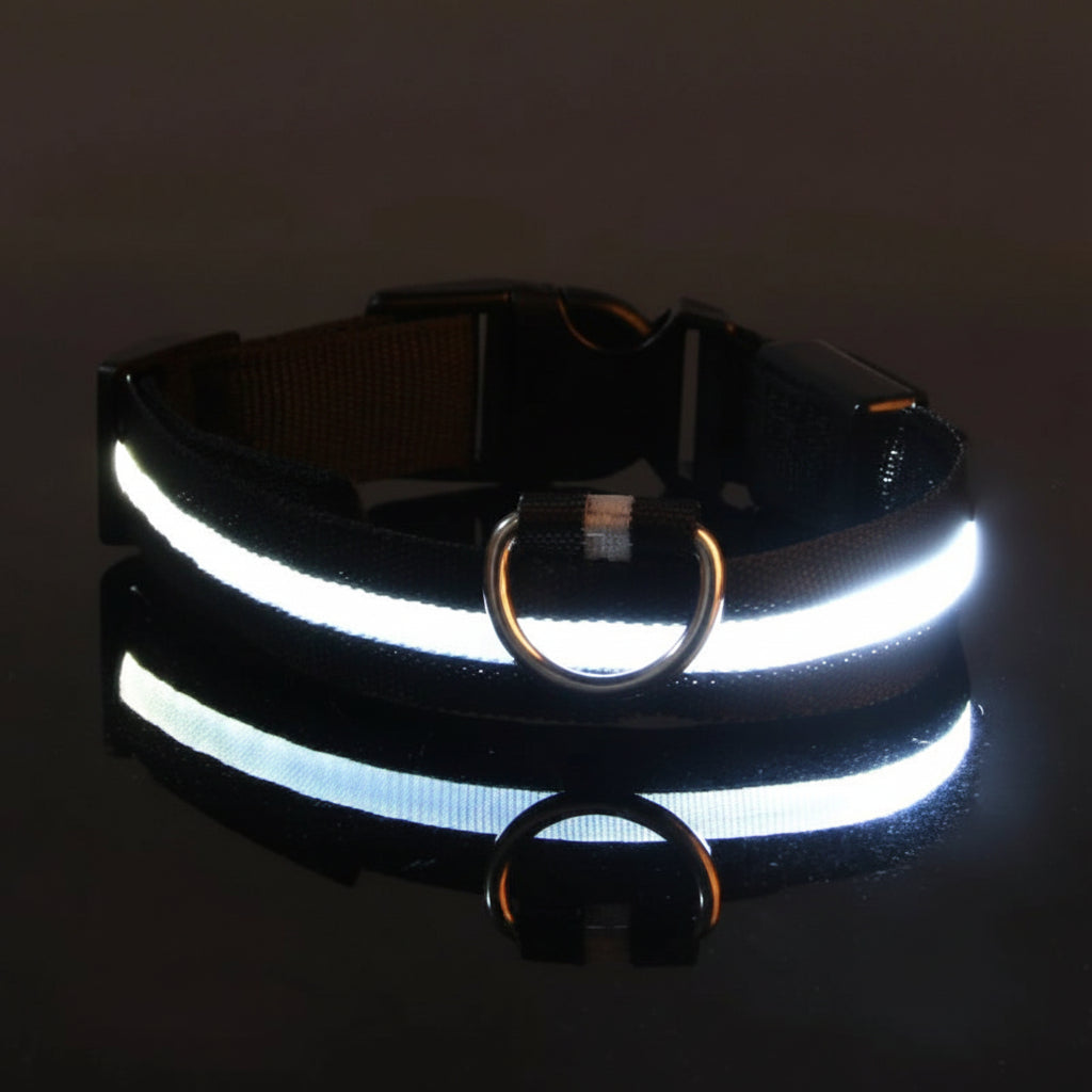 Collier LED pour chien noir, anneau en D et bande lumineuse allumée.