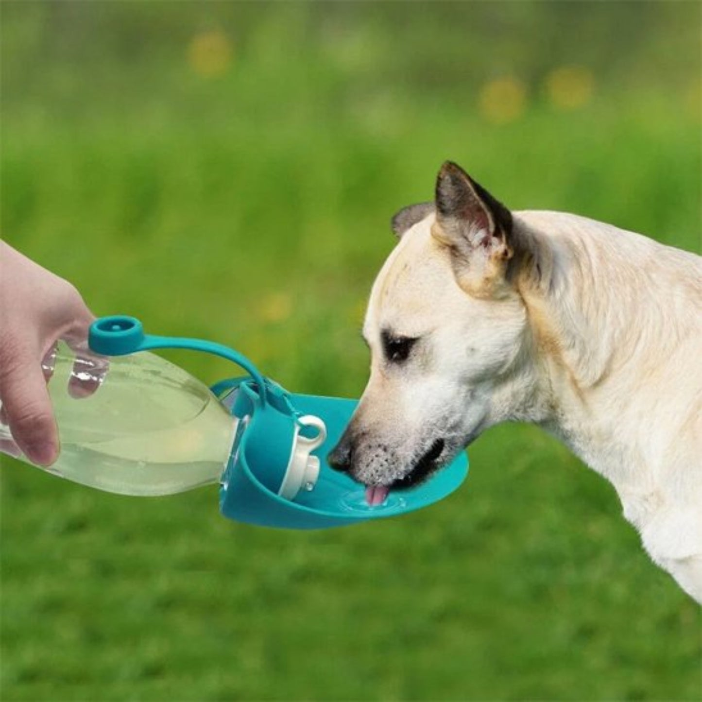 Gourde pour chien portable étanche bleu, réservoir transparent et bec rabattable