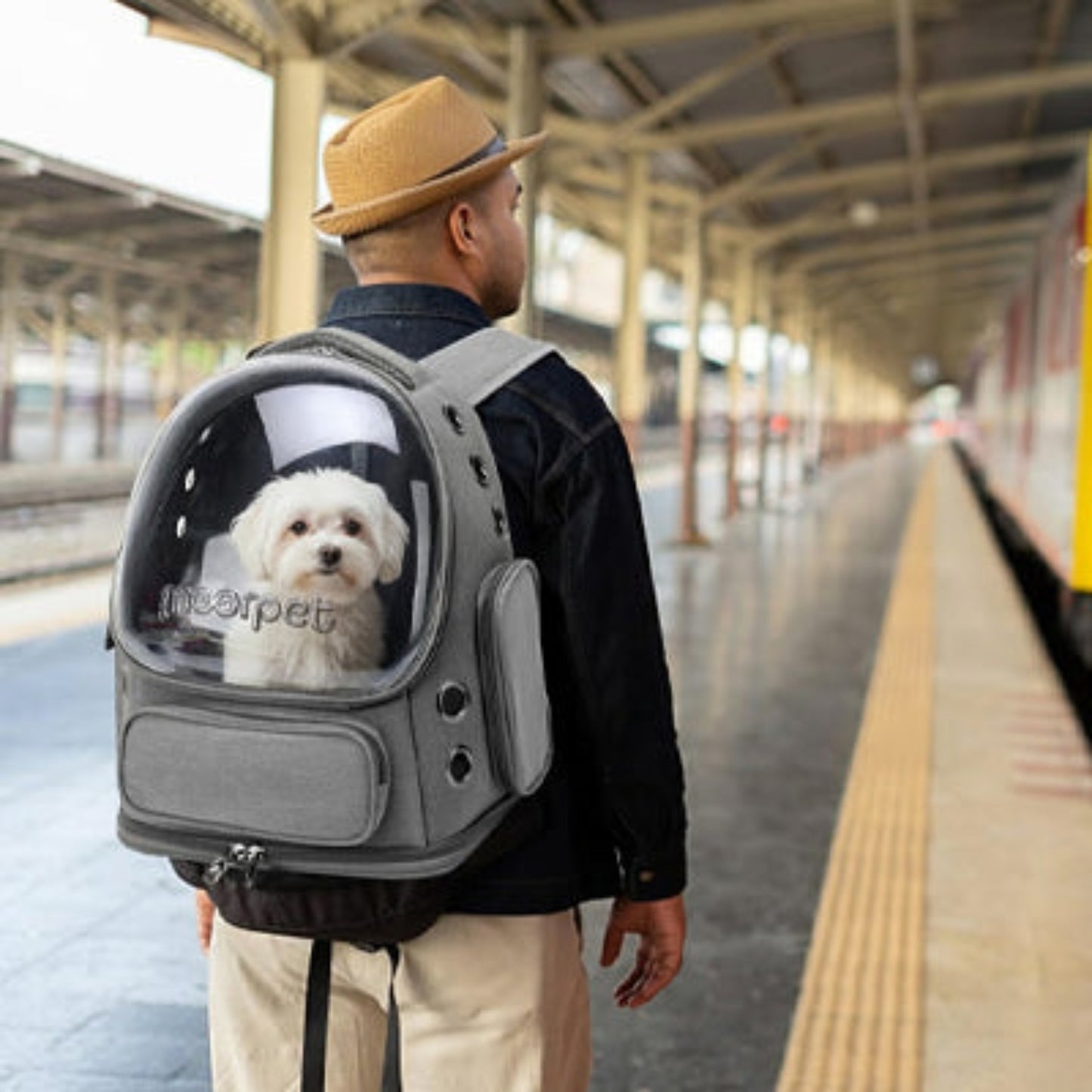 Sac de transport pour chien gris à hublot transparent et poches latérales
