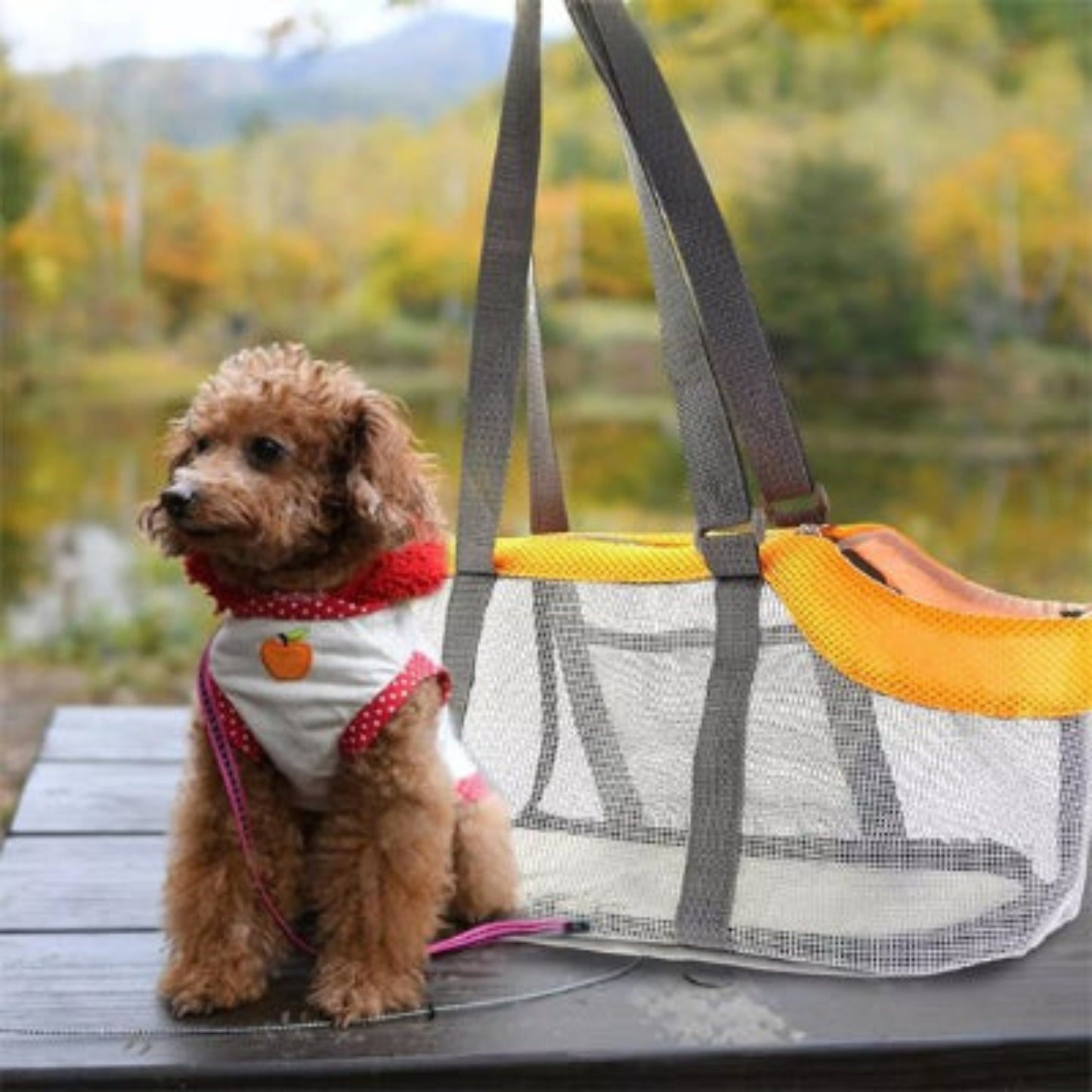 Sac de transport pour chiot blanc/gris avec poignées jaunes et base souple
