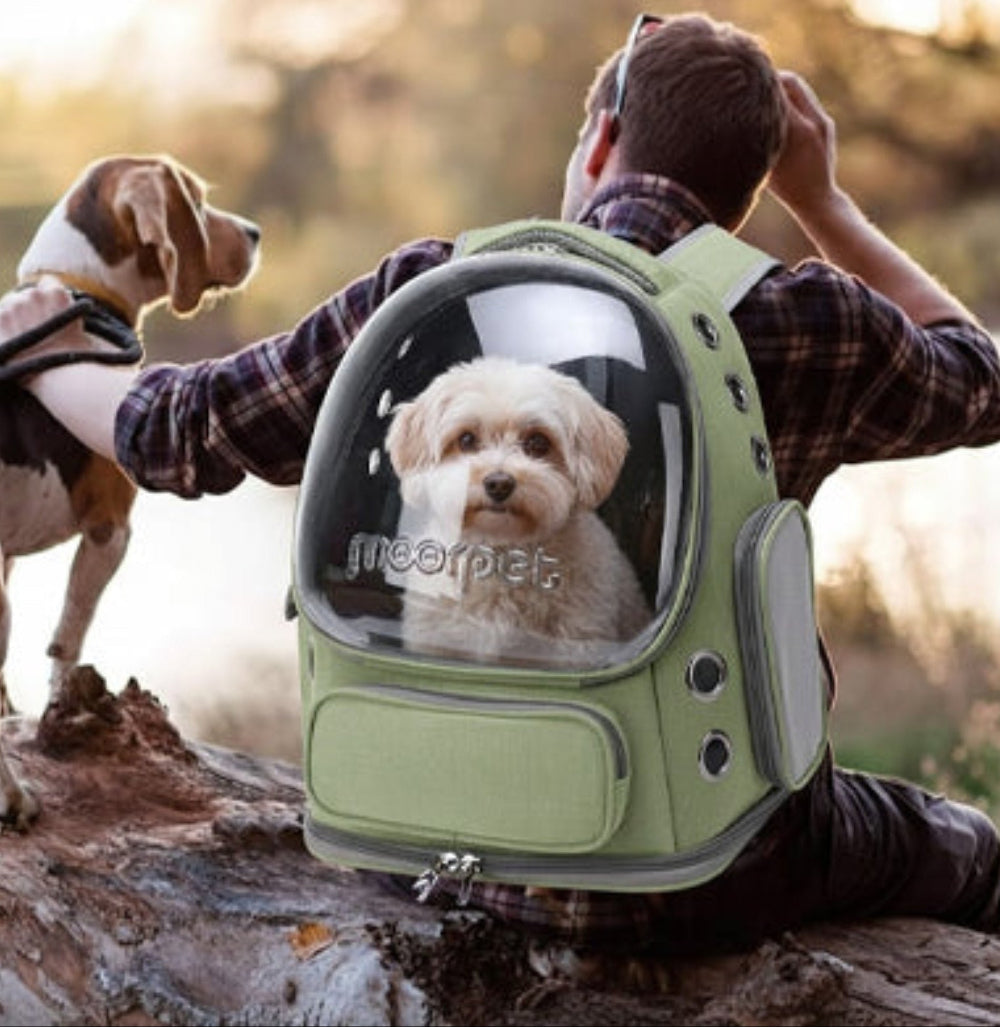sac de transport pour chien voyage