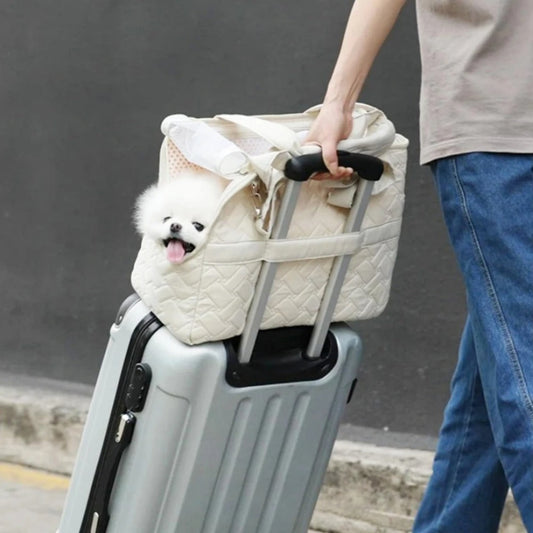 Sac pour chien en avion : guide complet 2026
