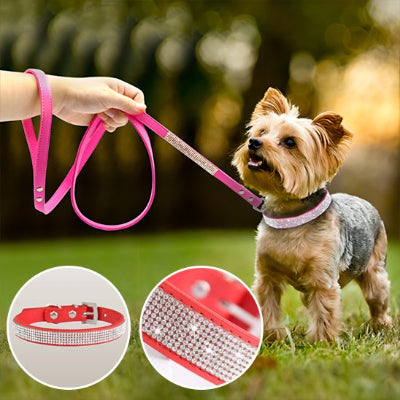 Collier Luxe chien rouge et rose