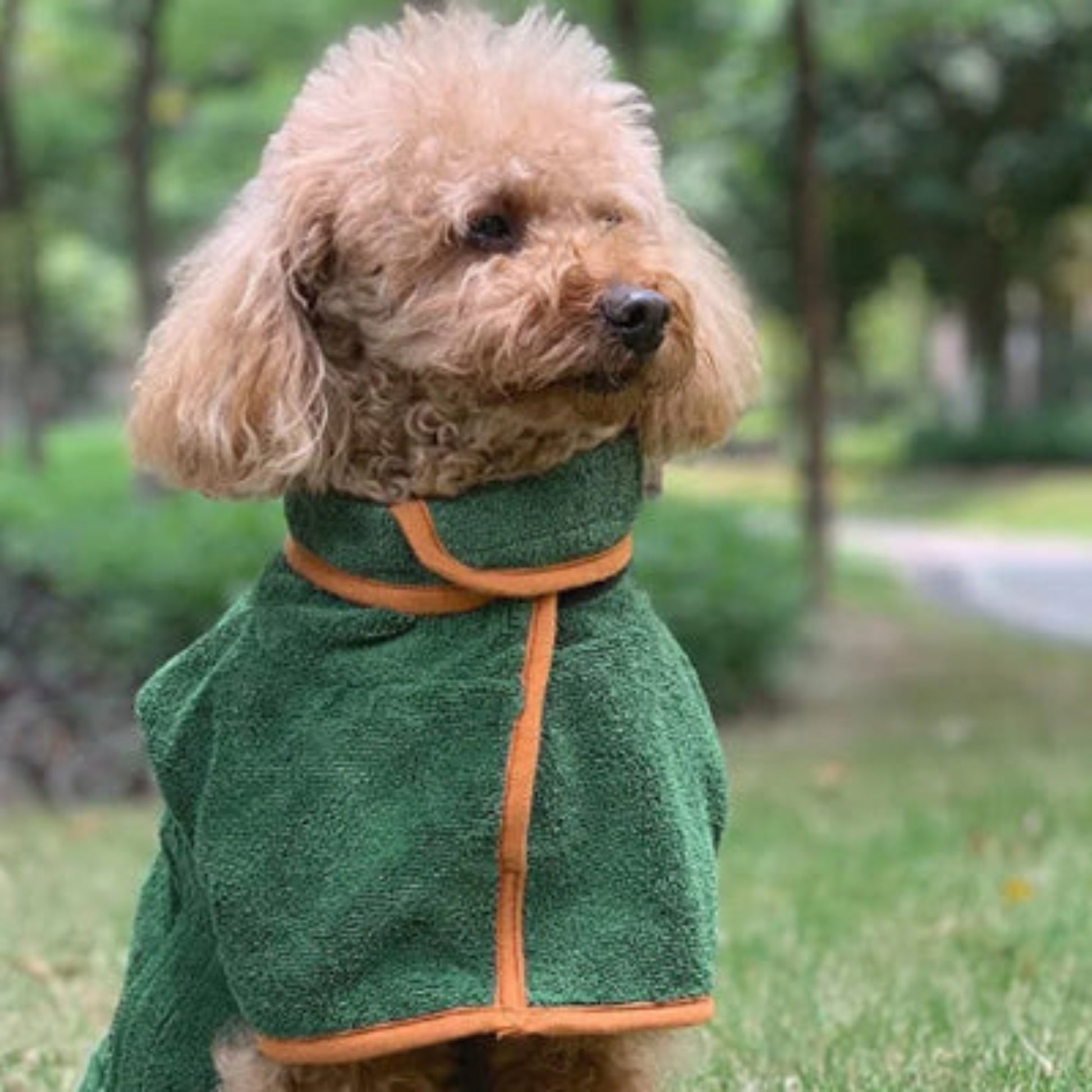 Peignoir pour chien vert avec col montant, liseré orange, vue de face.