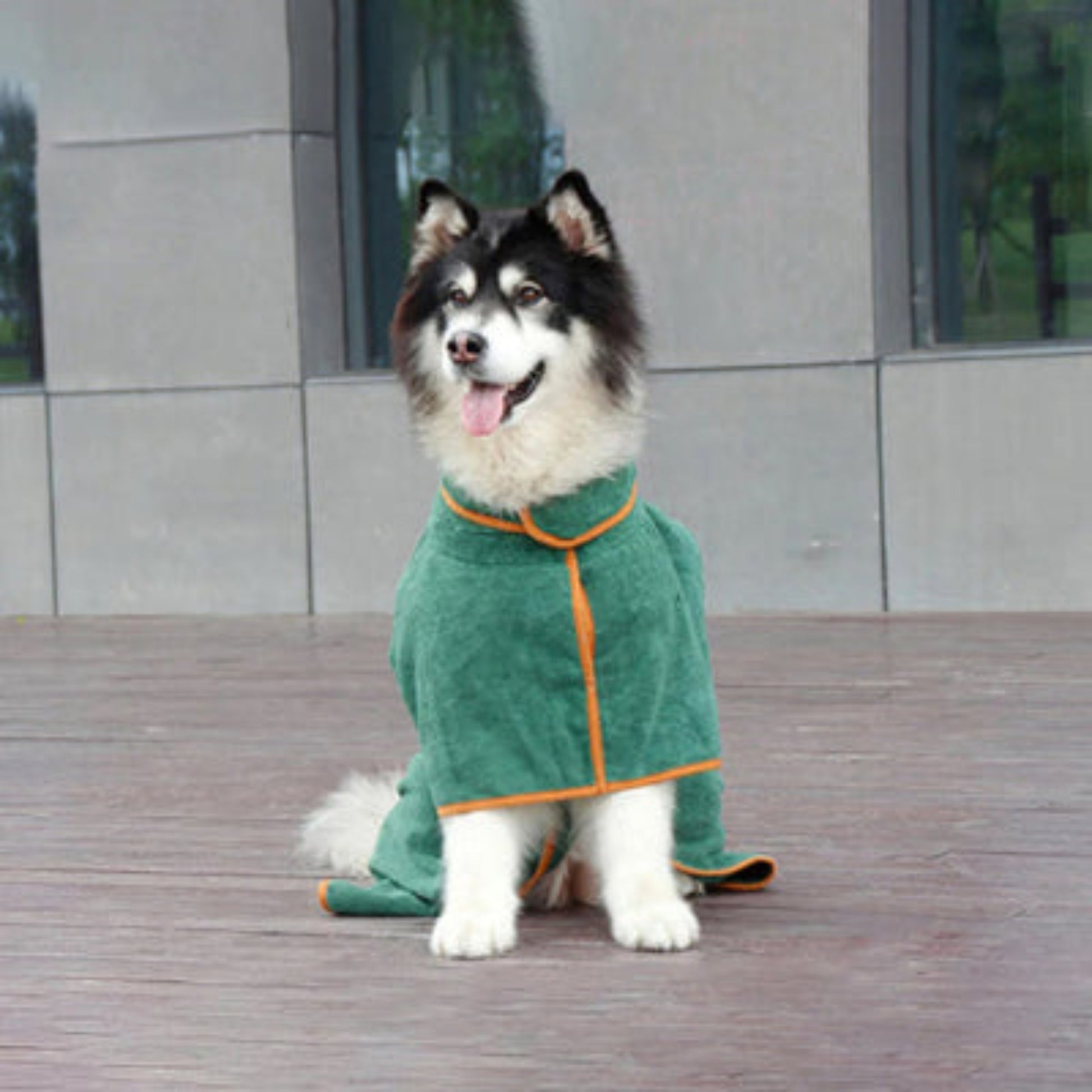 Peignoir pour chien vert avec liseré orange, col montant, chien assis.