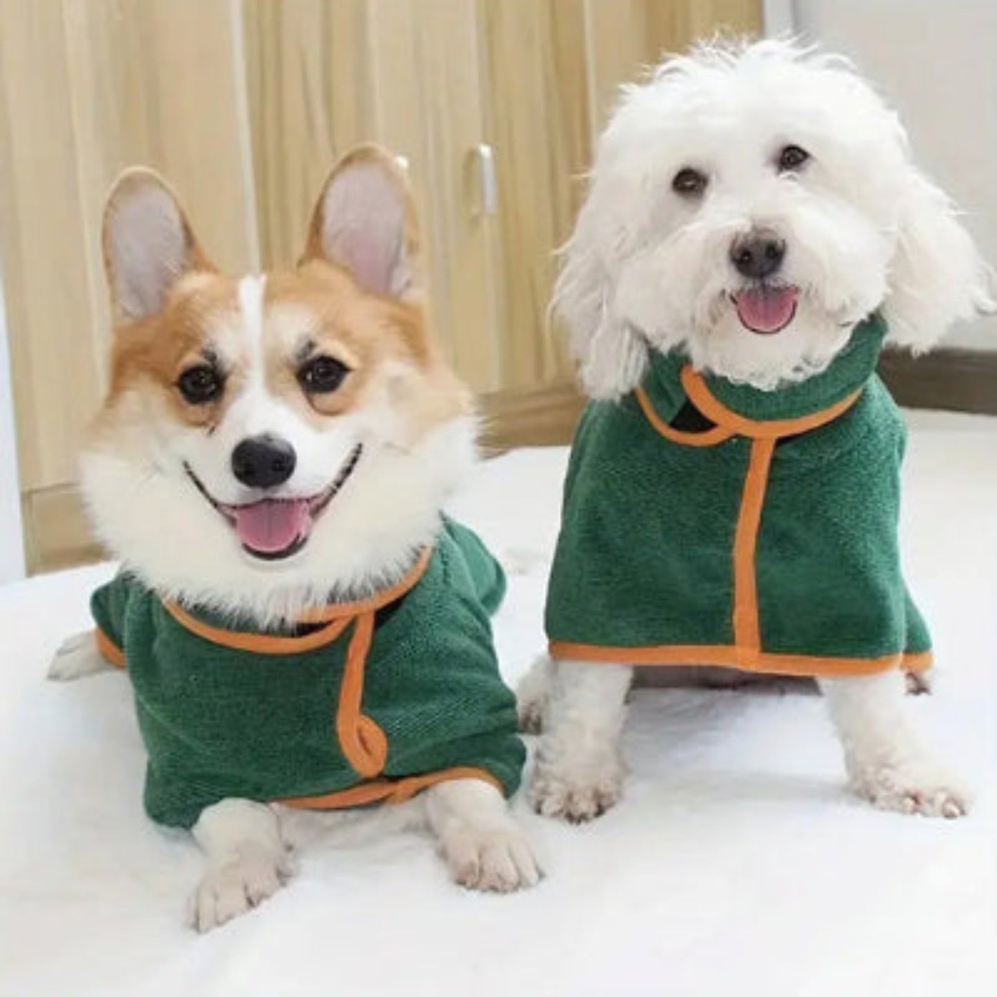 Peignoir pour chien vert, liseré orange, deux chiens assis côte à côte.