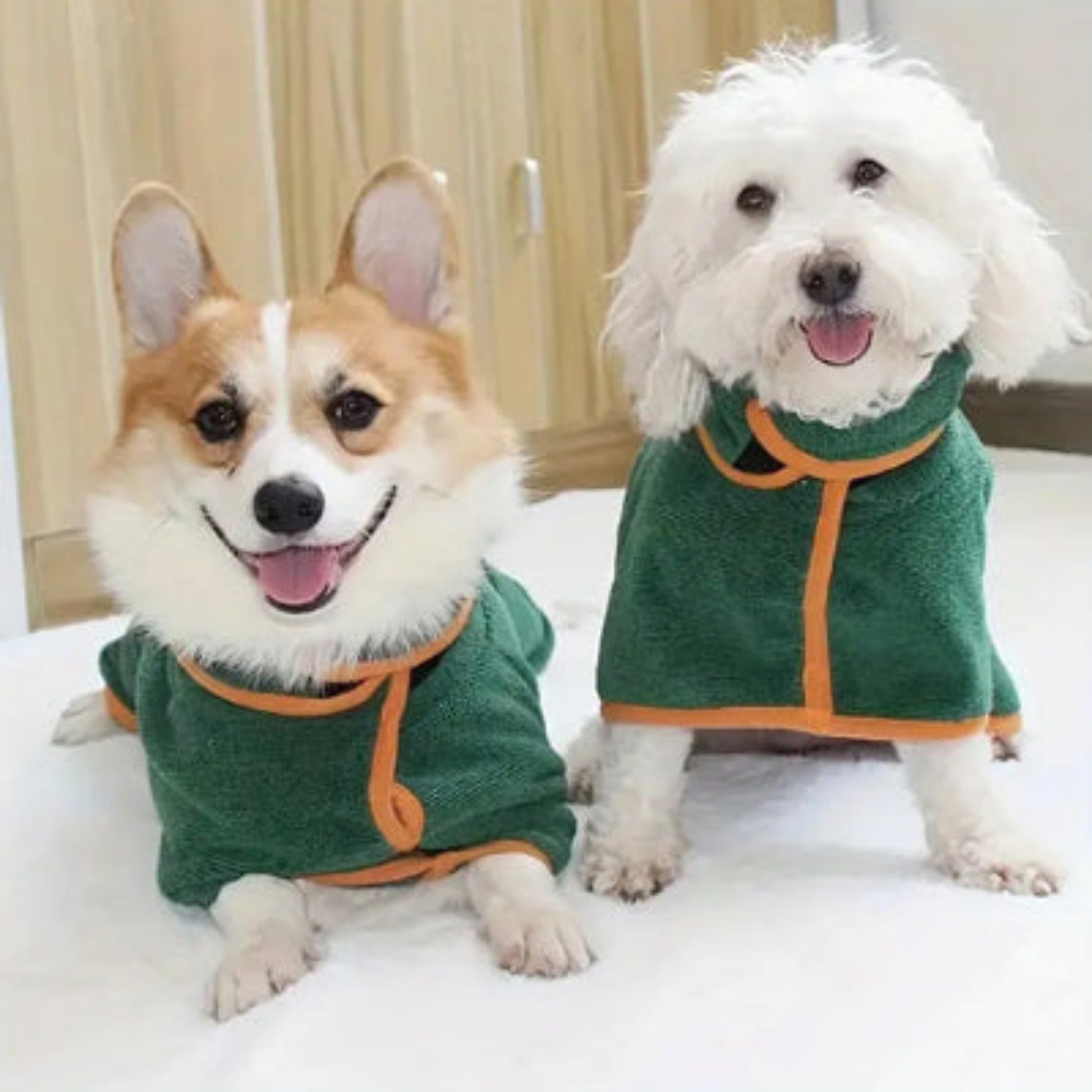 Peignoir pour chien vert, liseré orange, deux chiens assis côte à côte.
