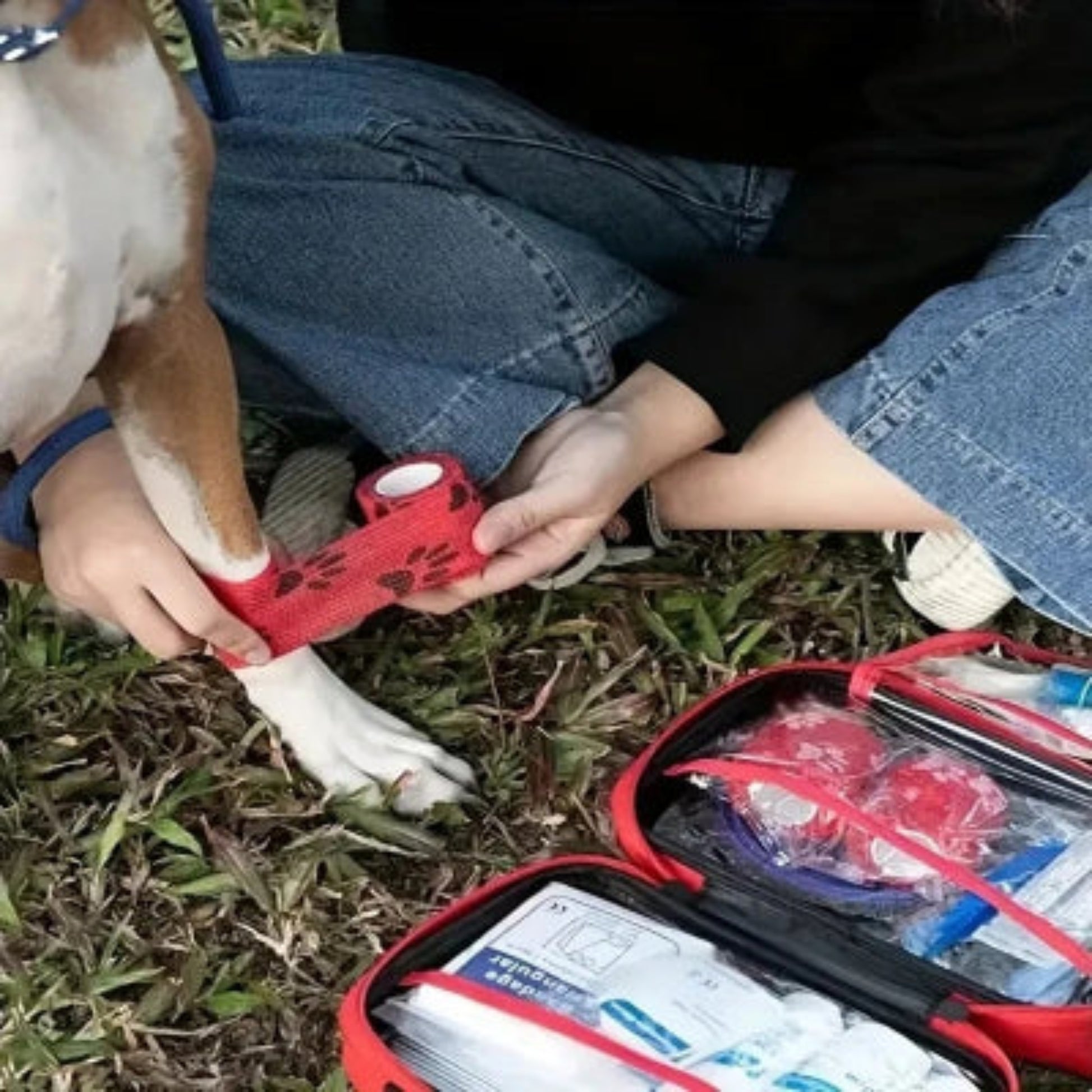 Trousse de premiers secours pour chien Aventure rouge ouverte, compartiments et pochettes