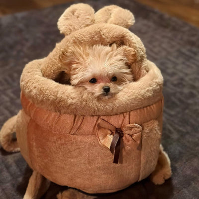 Adorable sac de transport chien hiver