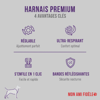 Bénéfice du harnais pourchien