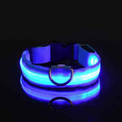 Collier LED bleu pour chien, gros plan sur la sangle et la bande lumineuse