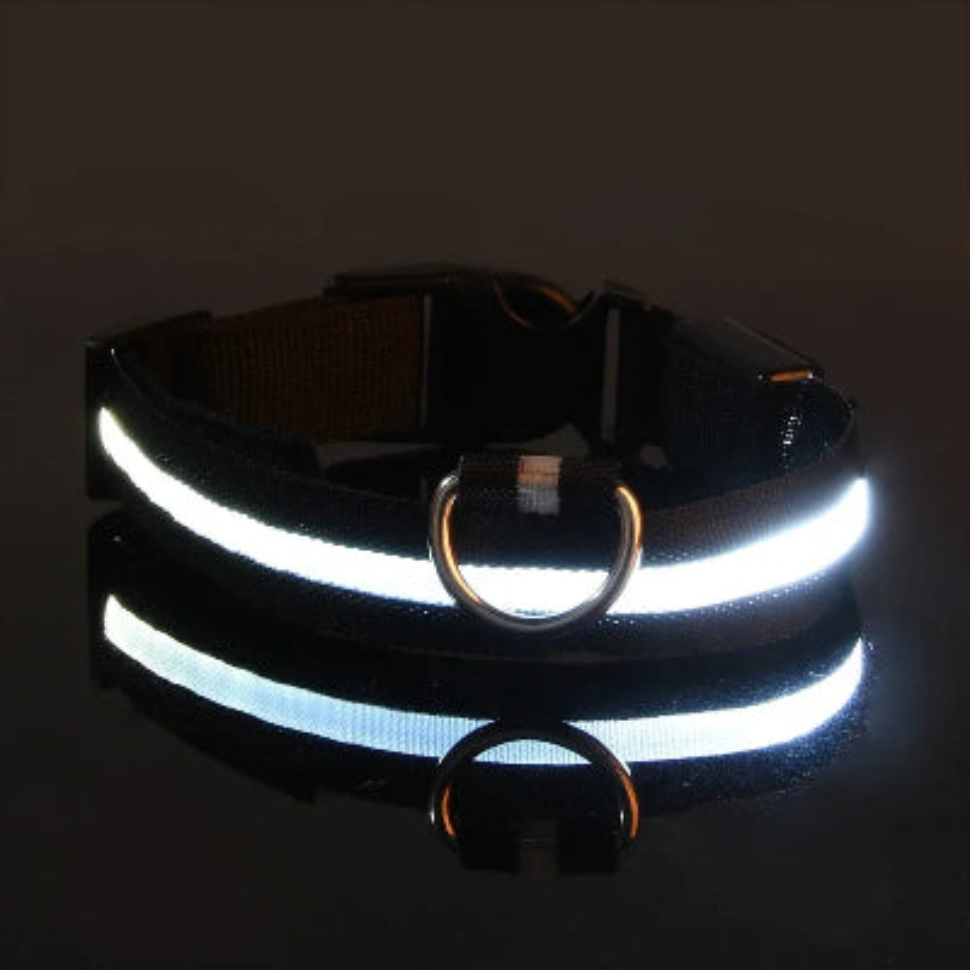 Collier LED pour chien noir, anneau en D et bande lumineuse allumée.