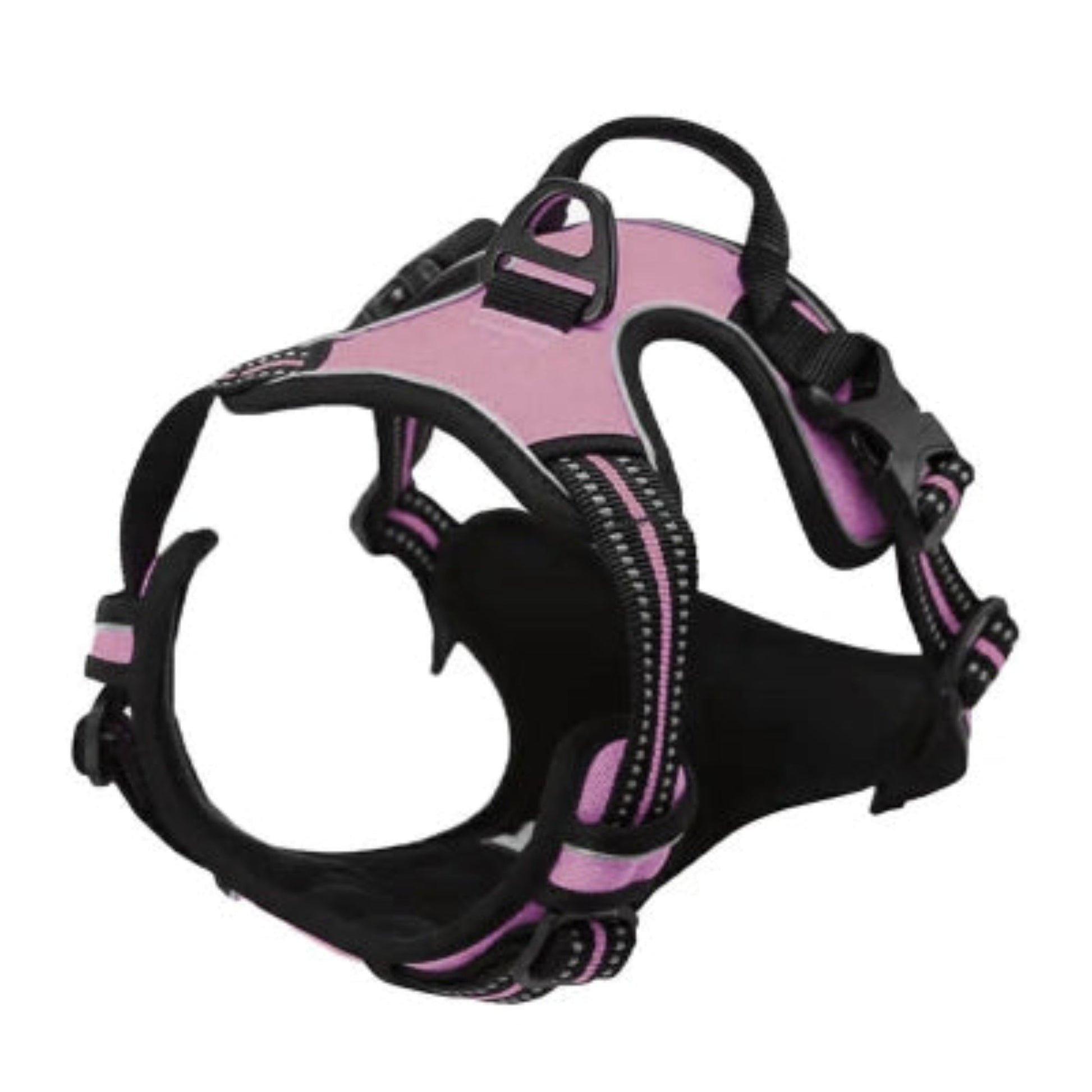 Harnais pour chien violet clair et noir avec boucle d’ajustement