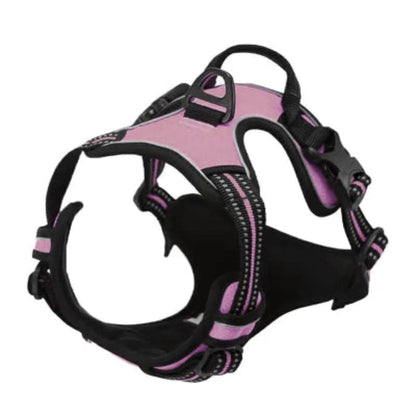 Harnais pour chien violet clair et noir avec boucle d’ajustement