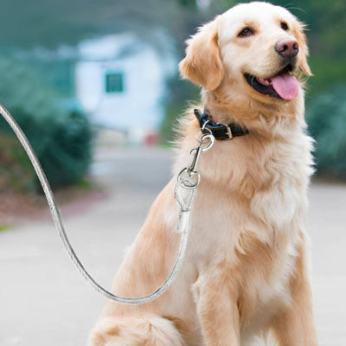 Laisse pour chien en corde gris clair et mousqueton métallique