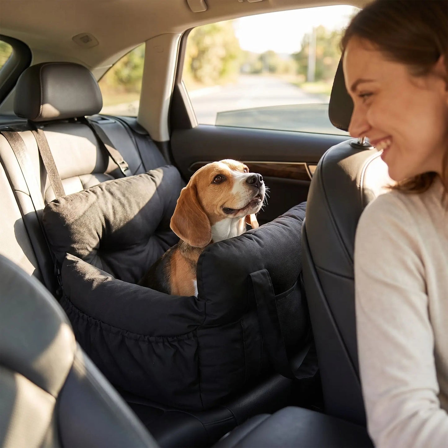 Coussin siège auto chien noir rembourré, sangles latérales pour l’attache