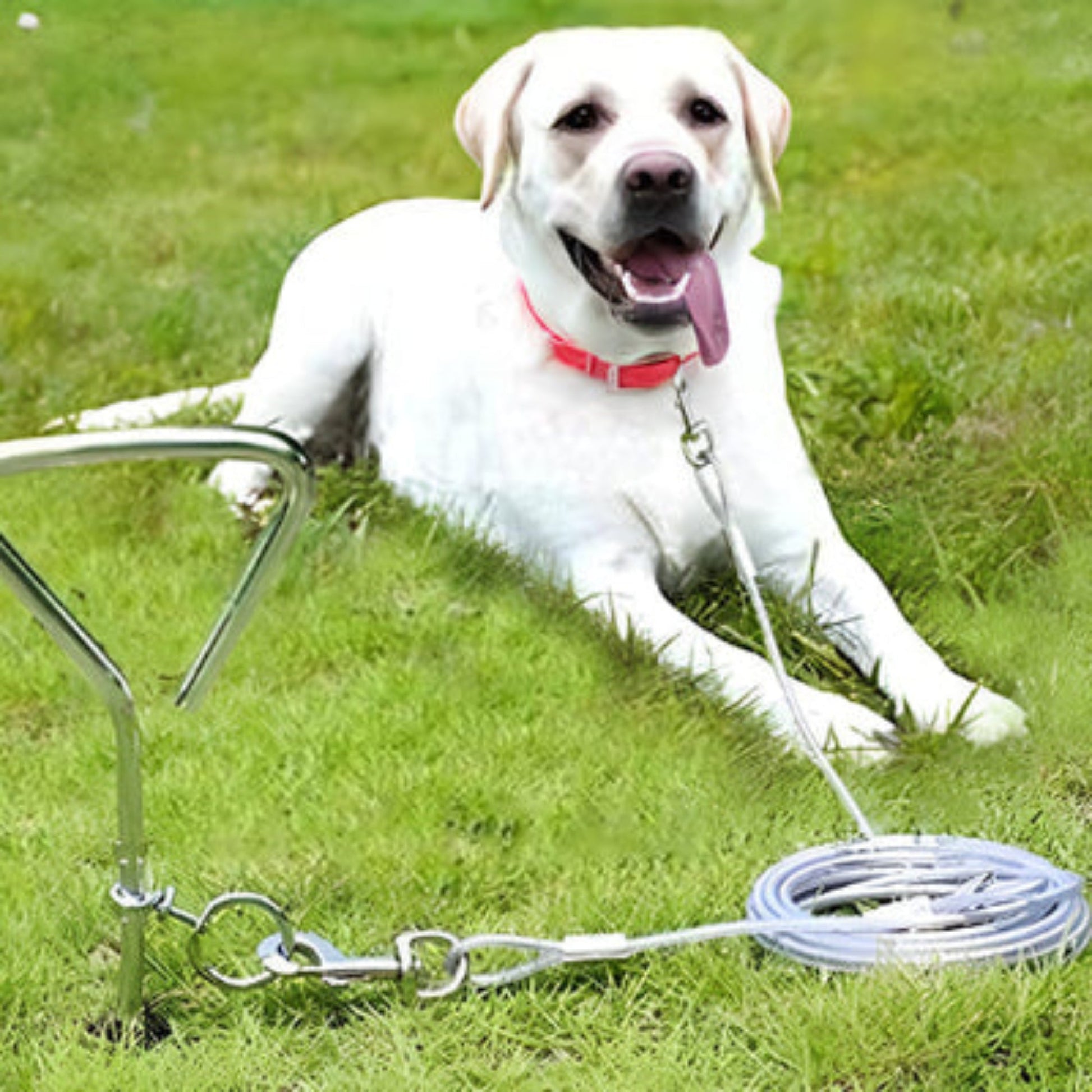 Laisse pour chien en corde gris clair enroulée avec mousquetons métalliques