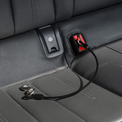 Laisse pour chien auto Amou noire avec sangle et boucle de fixation
