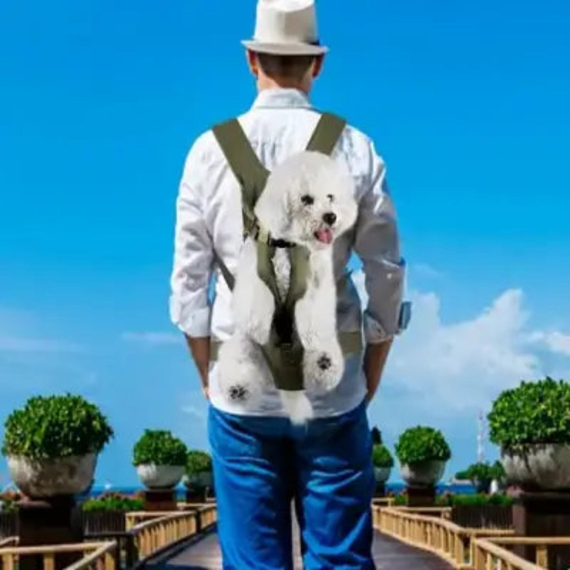 Sac à dos pour chien vert, sangles dorsales et ouverture centrale