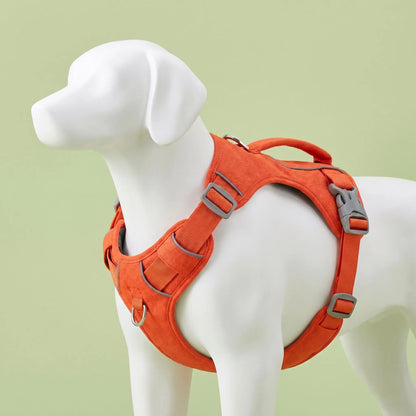 Harnais pour chien | Anti-fuite