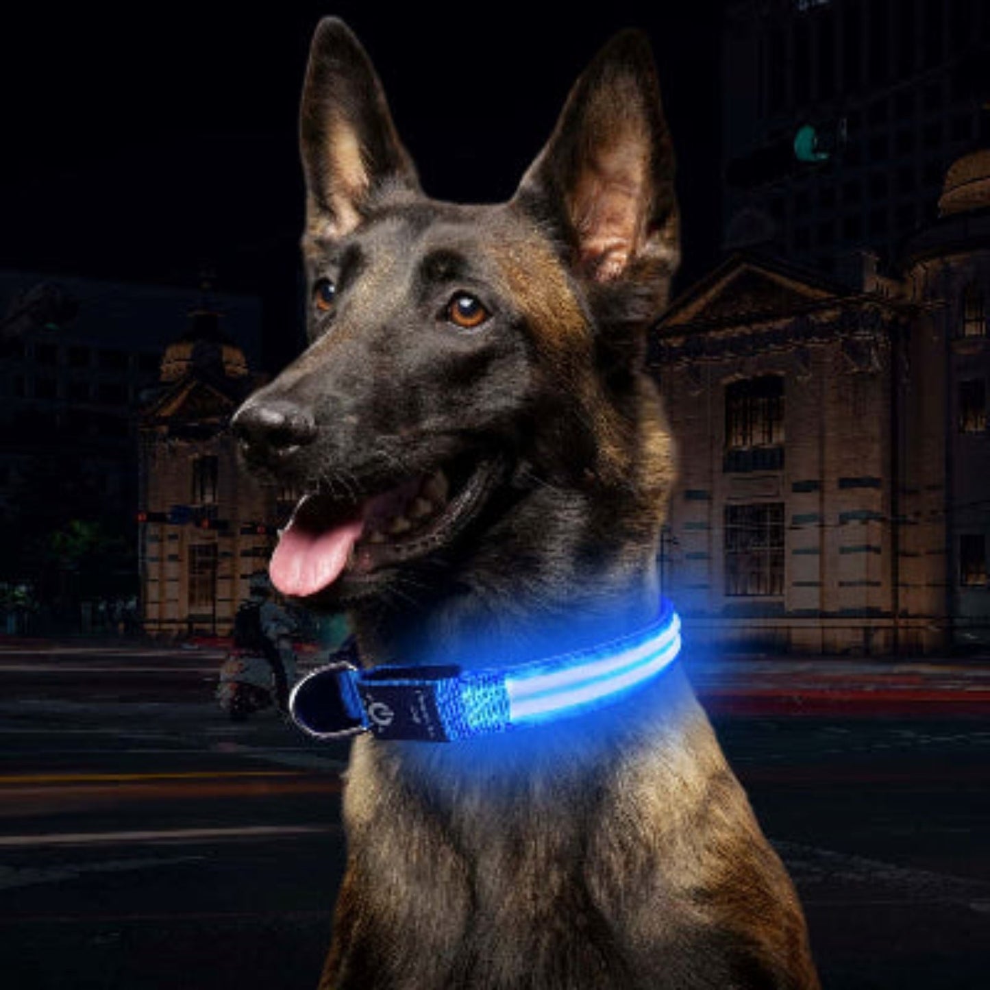 Collier lumineux pour chien bleu allumé, sangle noire avec bande LED autour du cou