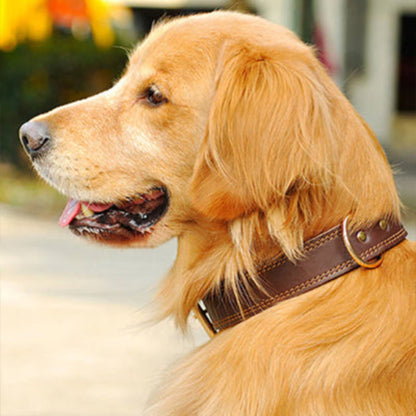 Collier pour chien en cuir marron, boucle en laiton et anneau métal sur le col