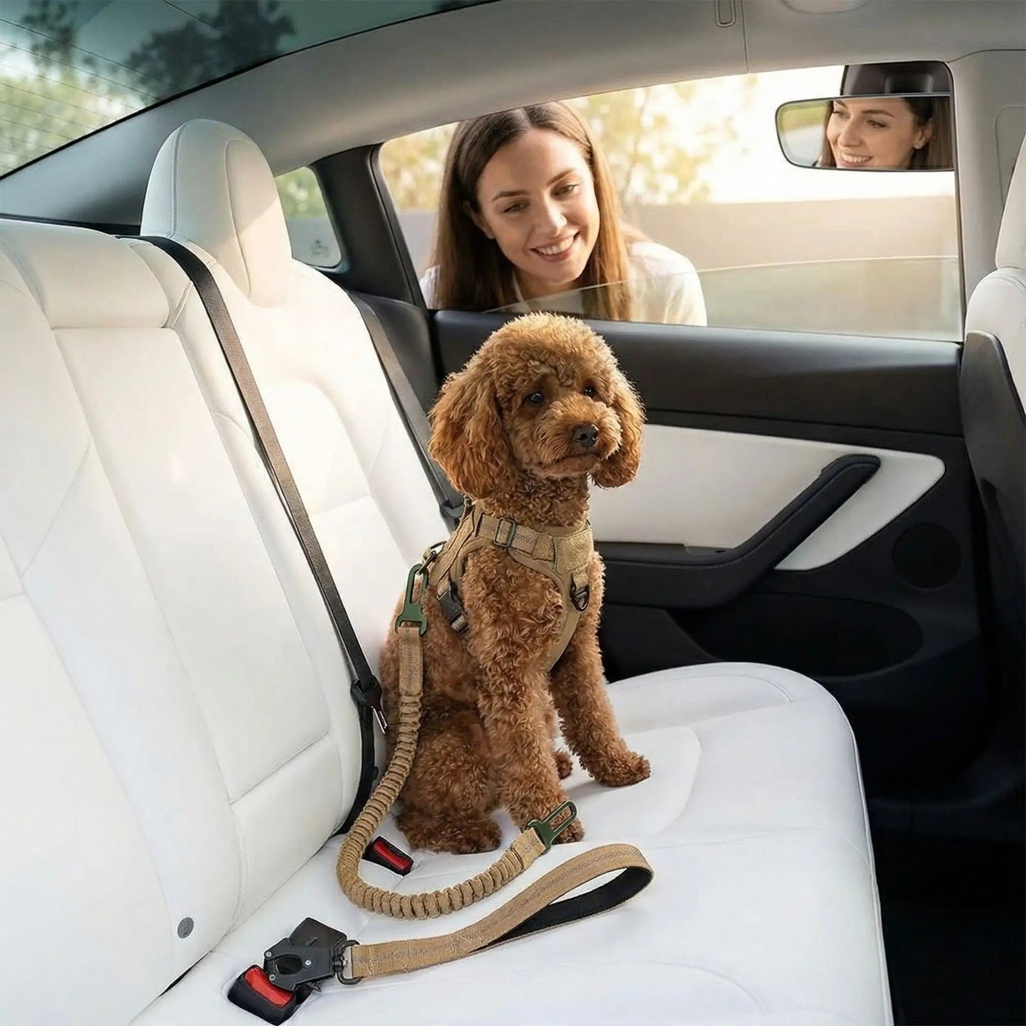 Laisse pour chien abacule à corde tressée beige, avec harnais et mousqueton