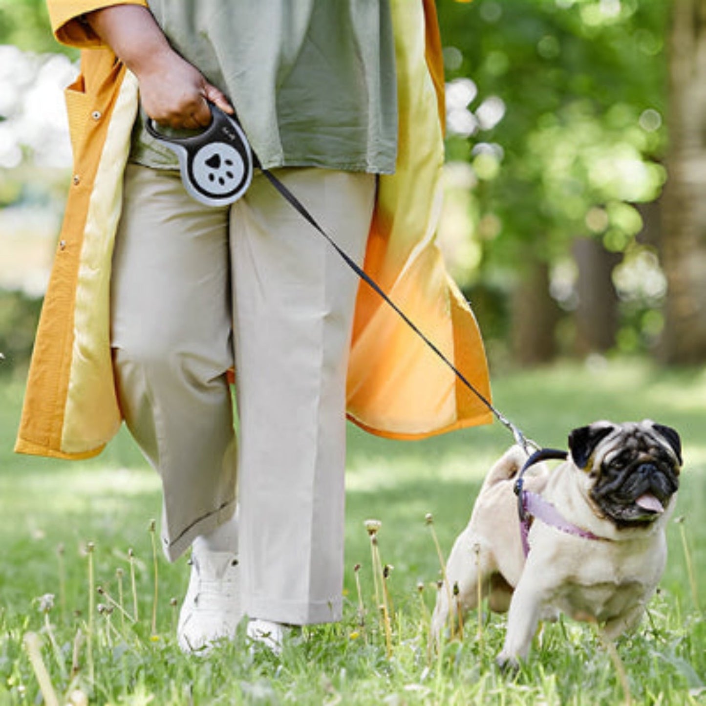 Laisse pour chien Aba poignée noire et boîtier gris à motif patte