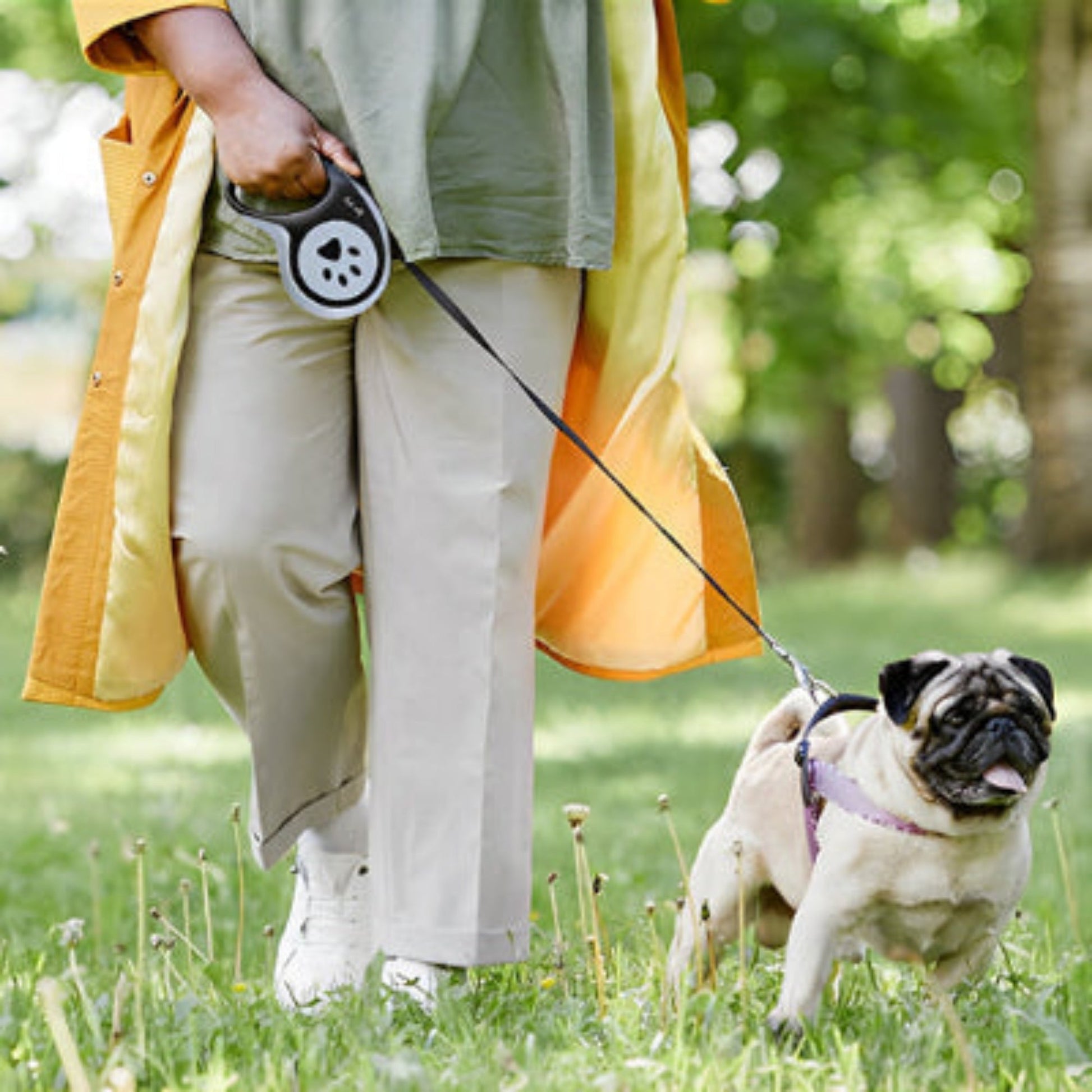 Laisse pour chien Aba poignée noire et boîtier gris à motif patte