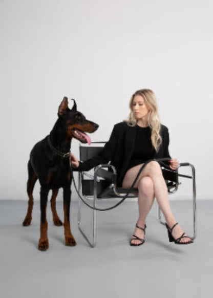 Collier pour chien en cuir noir, boucle réglable et anneau métallique sur la sangle