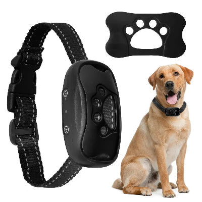 Collier de dressage pour chien à sangle noire et boîtier noir
