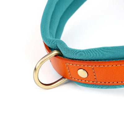 Harnais anti-traction bleu ciel, sangle turquoise et anneau laiton, bord orange