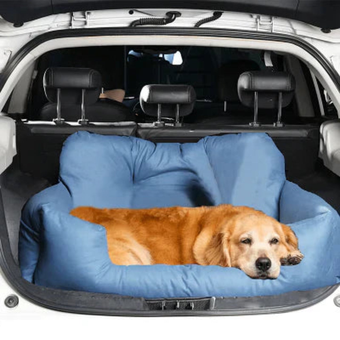 Siège auto pour chien bleu avec chien allongé, housse rembourrée
