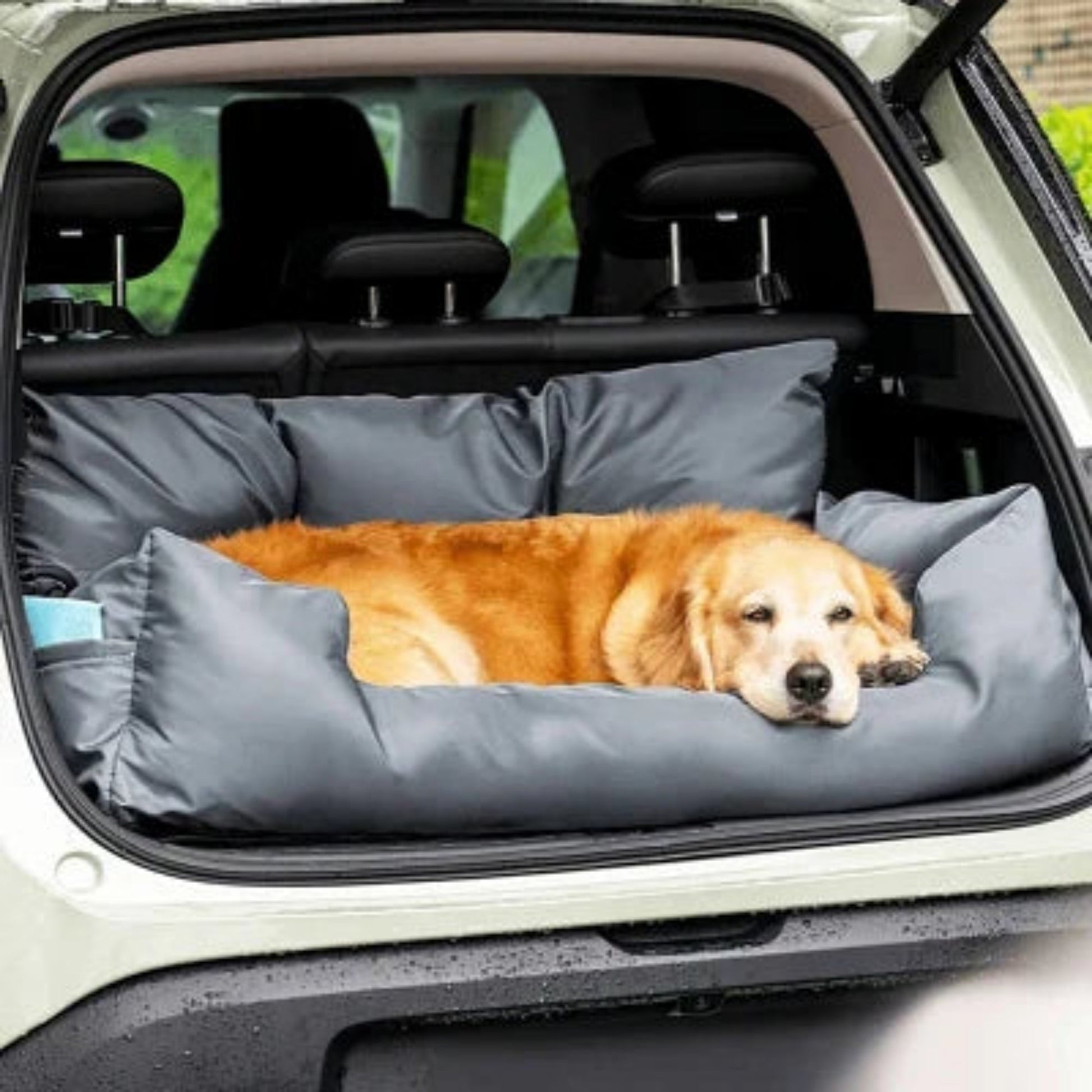 Siège auto pour chien gris, coussin rembourré avec bords et matelas, chien couché