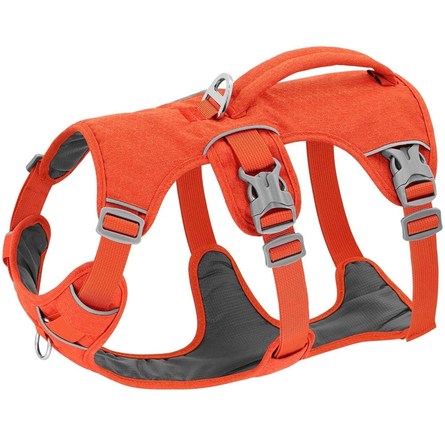 Harnais pour chien orange avec sangles réglables et boucles métalliques