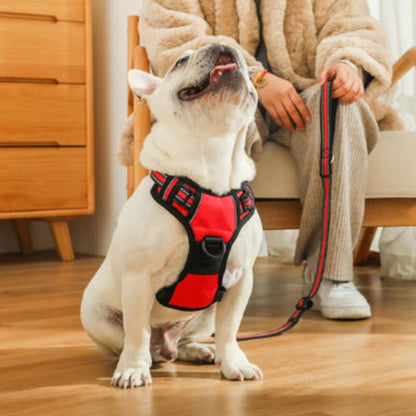 Harnais pour chien rouge et noir avec fermeture sur le poitrail