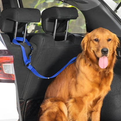 Laisse pour chien auto Antre: harnais bleu sur siège arrière