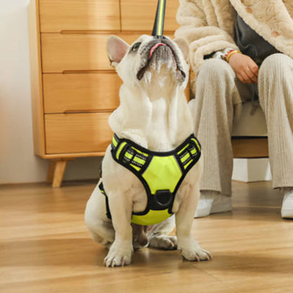 Harnais pour chien vert fluo et noir avec sangle pectorale