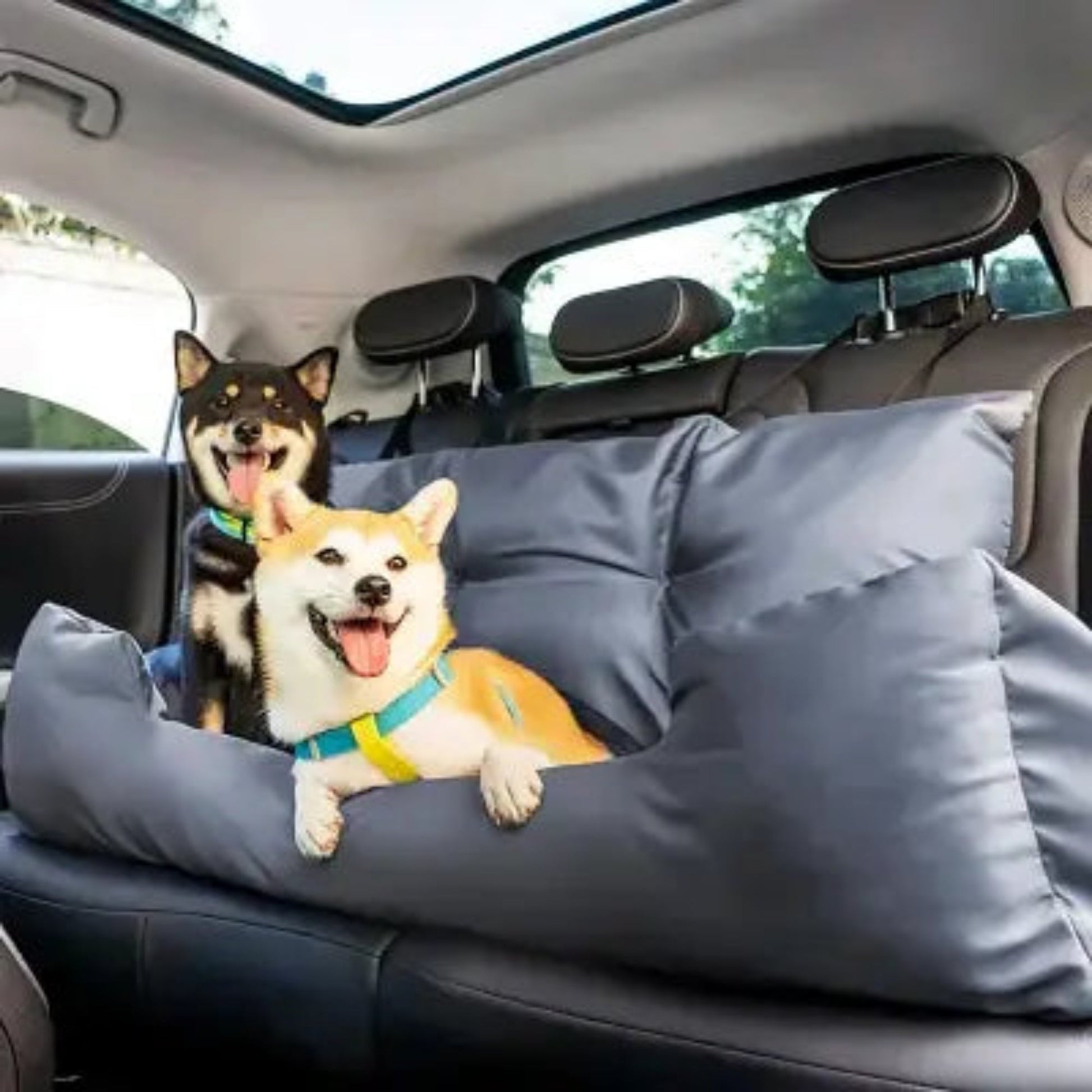 Coussin de siège auto gris avec parois, chiens au repos sur le matelas