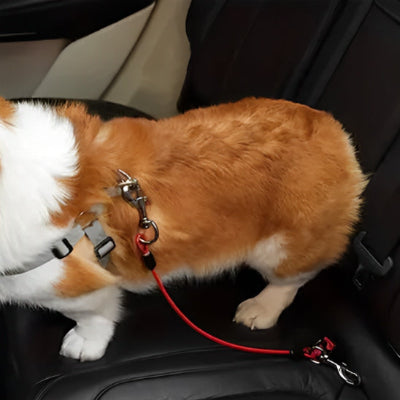 Laisse pour chien auto Amou, corde rouge avec mousquetons