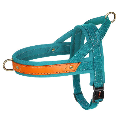 Harnais anti-traction bleu ciel, harnais en sangle turquoise avec anneau laiton
