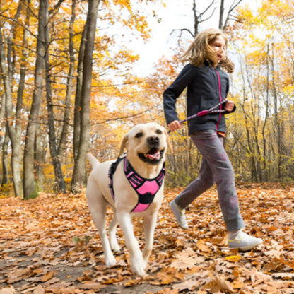 Harnais pour chien rose et noir avec sangles croisées