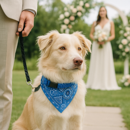 Bandana pour chien bleu à motifs cachemire, porté sur le cou