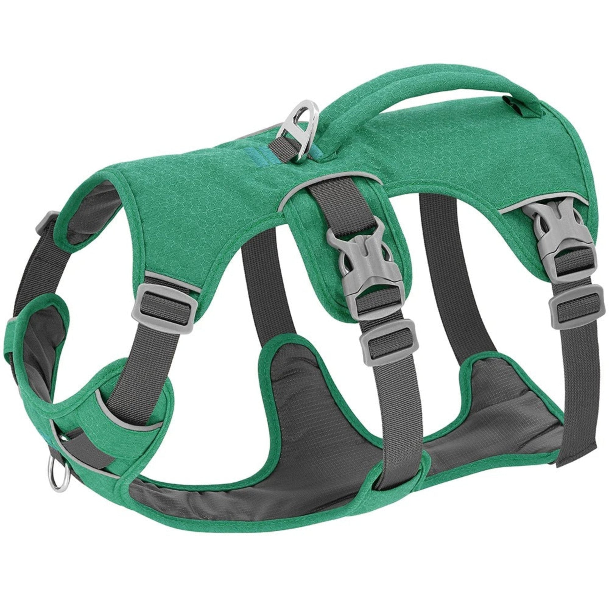 Harnais pour chien vert avec sangles réglables et boucles métalliques