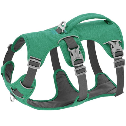 Harnais pour chien vert avec sangles réglables et boucles métalliques