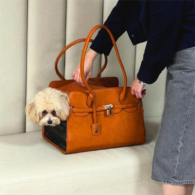 Sur banc cuir sac transport chien 