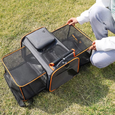 Beau chien sac de transport ouvert et orange