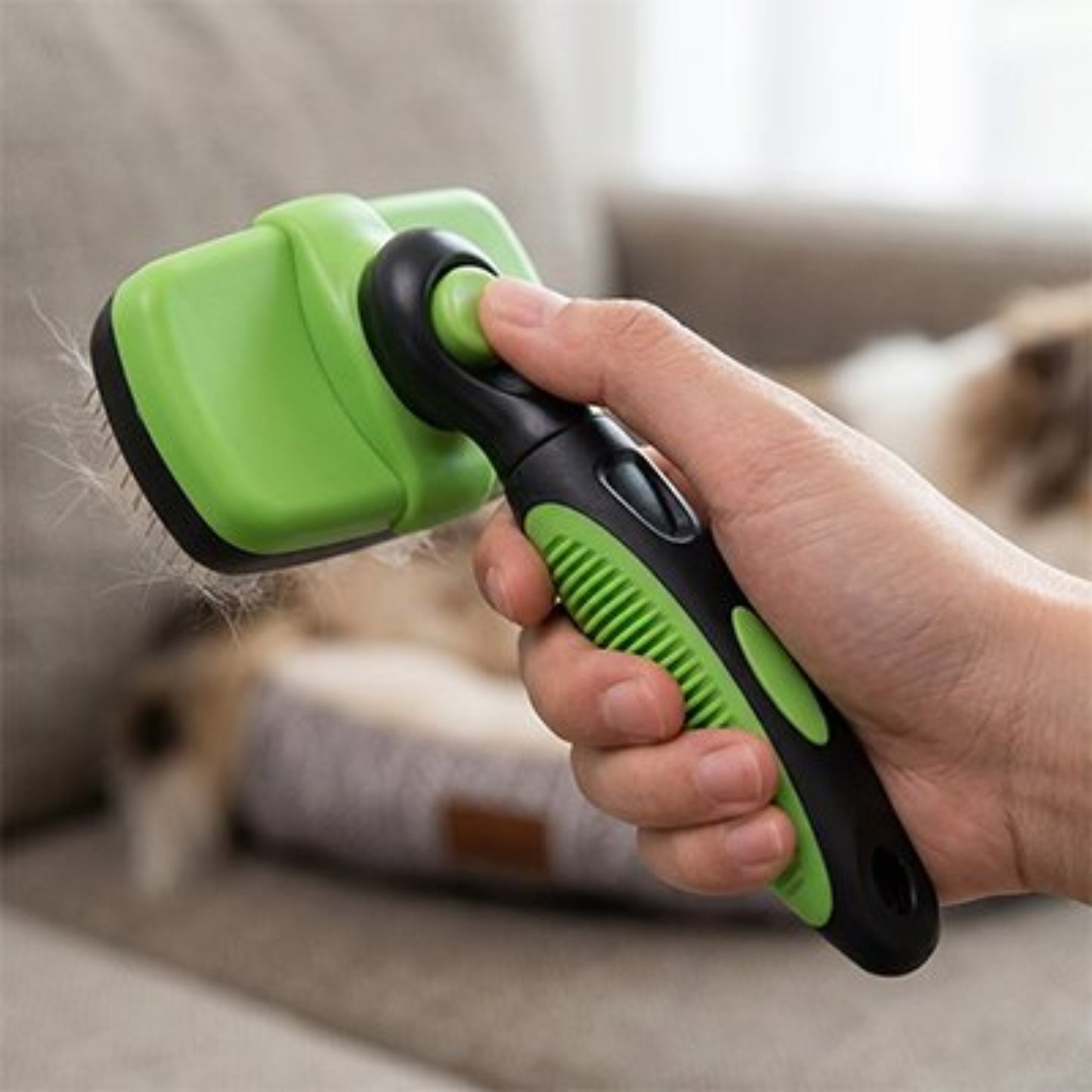 Brosse pour chien verte et noire tenue à la main, dents de brossage visibles