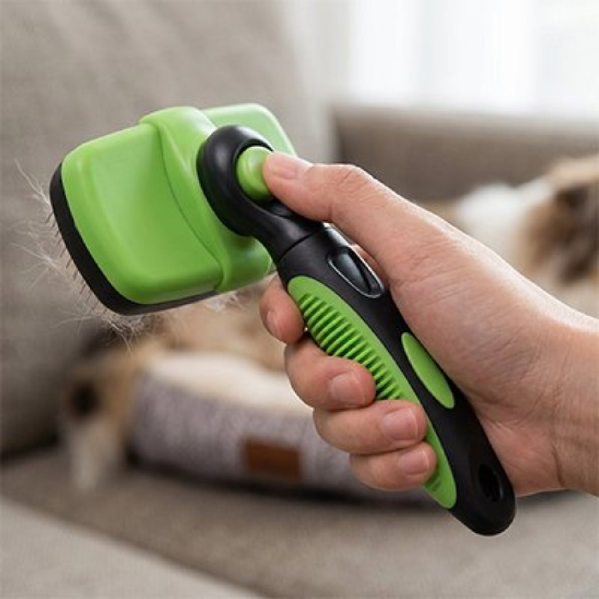 Brosse pour chien verte et noire tenue à la main, dents de brossage visibles