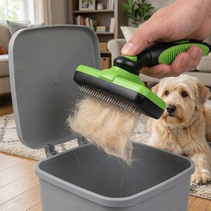 Brosse pour chien verte et noire avec bac gris, retire les poils sur un chien beige